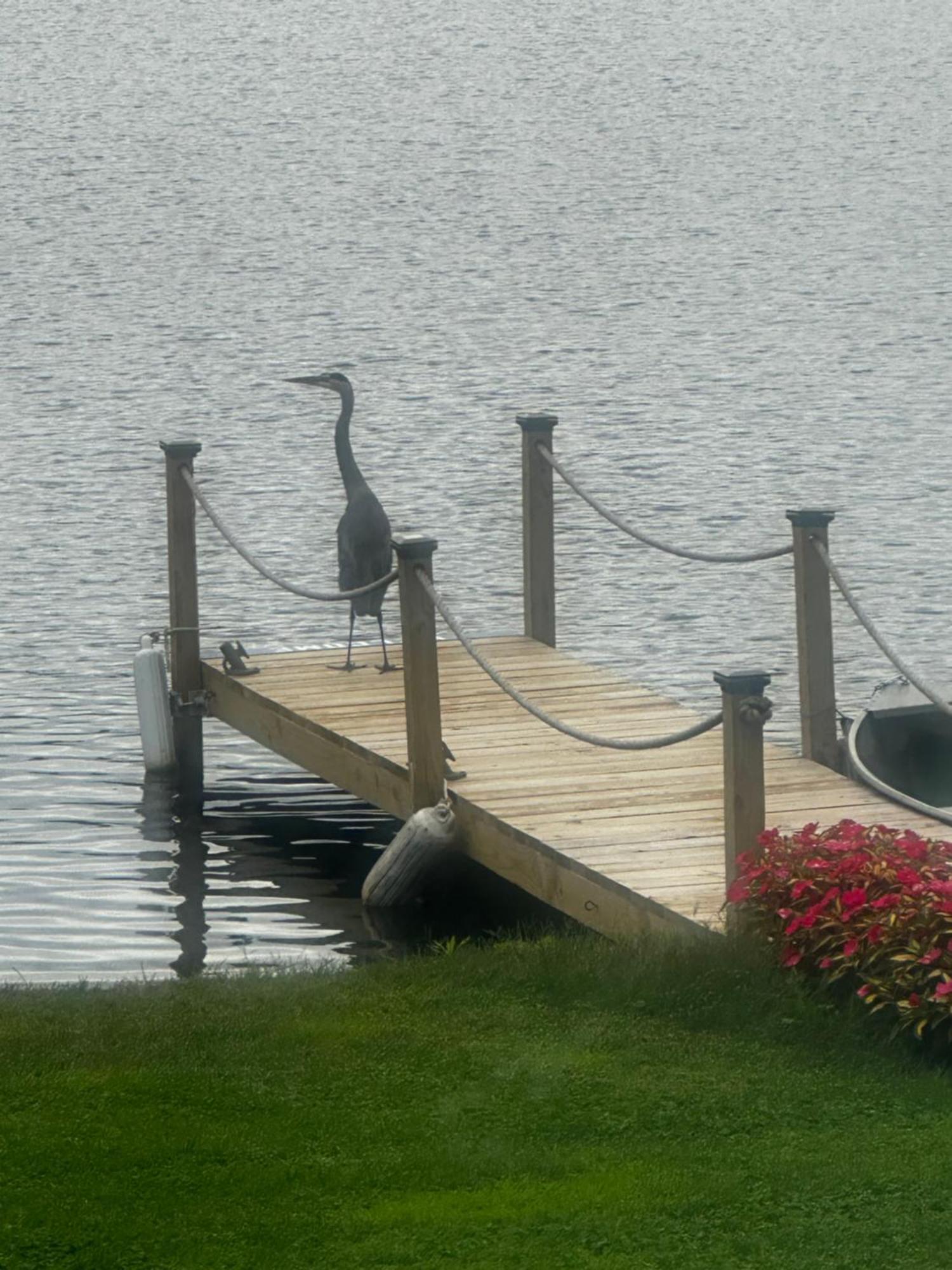 Welcome To The Lake Northwood Exterior photo
